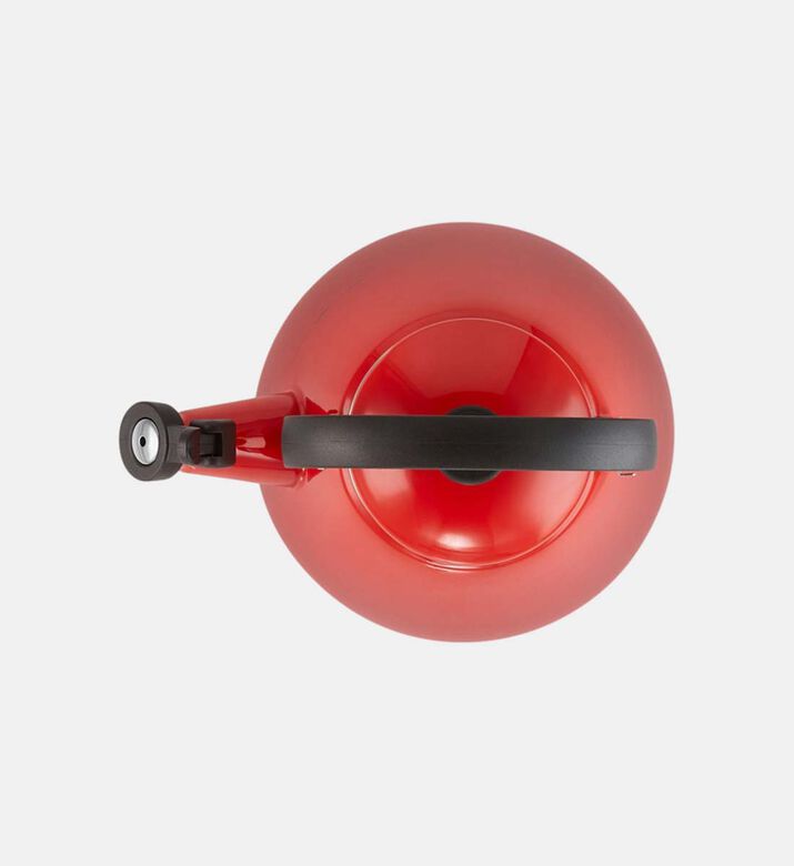 Enamelled Stainless Steel Kettle