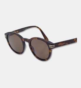 bvlgari Round Acetate Sunglasses, Brown, Packshot View