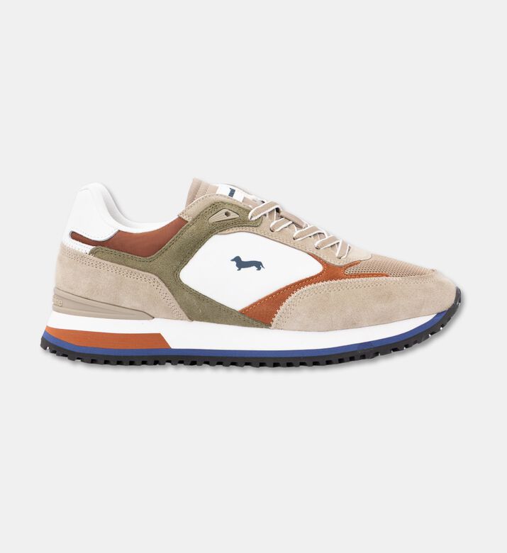 Harmont and Blaine Shoes Sneaker, Packshot View