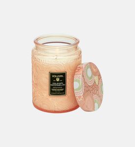 كالاهاري بطيخ لوكس جار