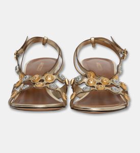 Arezzo Shoes Sandal, Packshot View