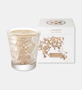 Lalique Candle Vase 750g Mineral, Packshot View