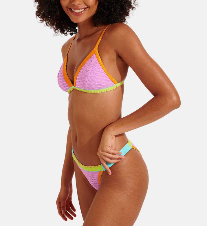 Multicolor Embroidered Bikini Bottoms