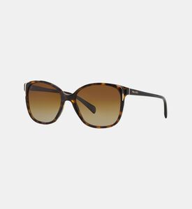 Acetate Square Shape Sunglasses 55