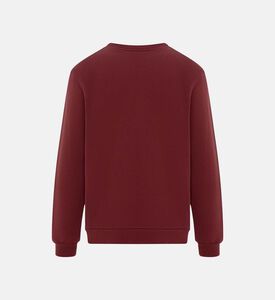 Long-sleeve Regular-fit Sweater