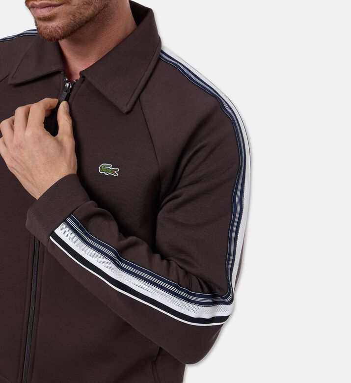 Lacoste Sweatshirt, Model View