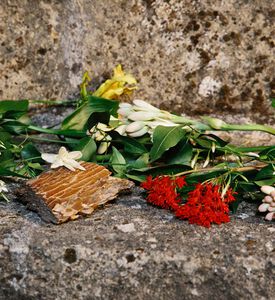 ماء عطر بلوم بروفومي دي فلوري