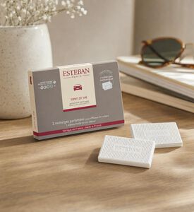 Esteban Paris Esprit De The 2-piece Car Diffusers Set, Model View