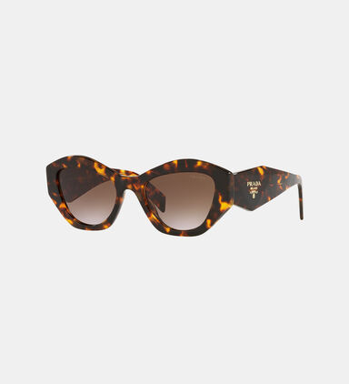 Retro-style Sunglasses 53