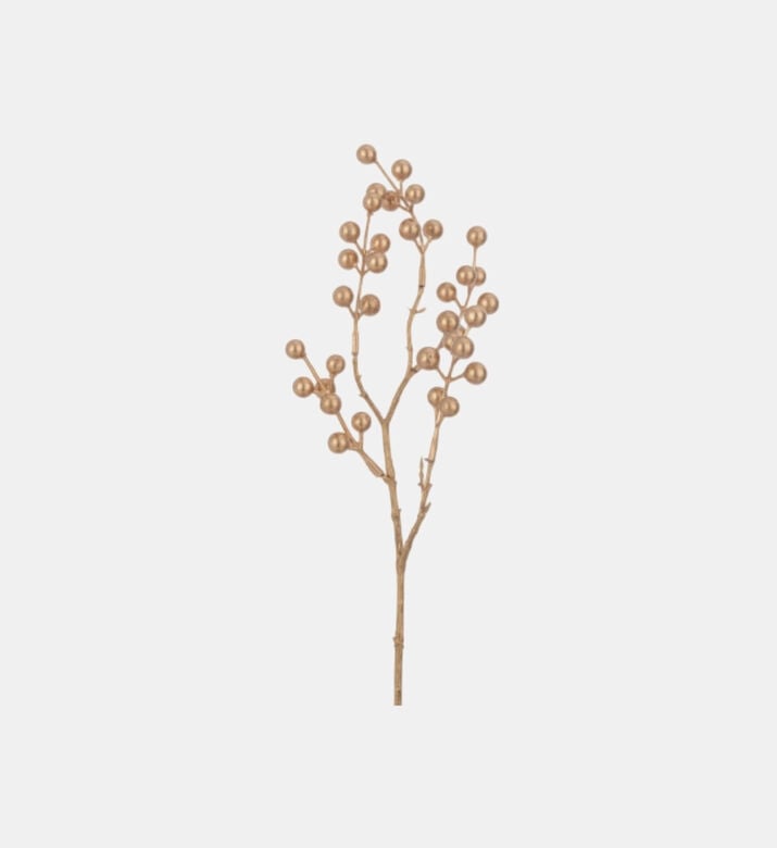 غصن توت