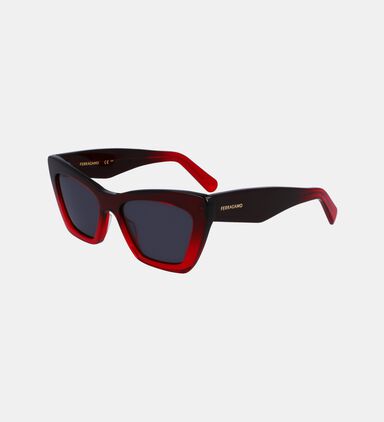 Butterfly Full-rim Sunglasses 55