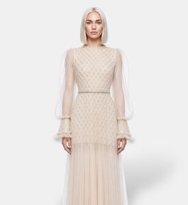 Suzy Matar Tulle Embellished Evening Gown, Model View