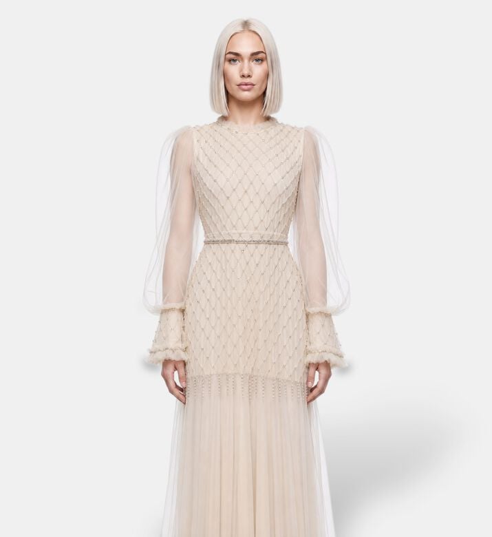 Suzy Matar Tulle Embellished Evening Gown, Model View