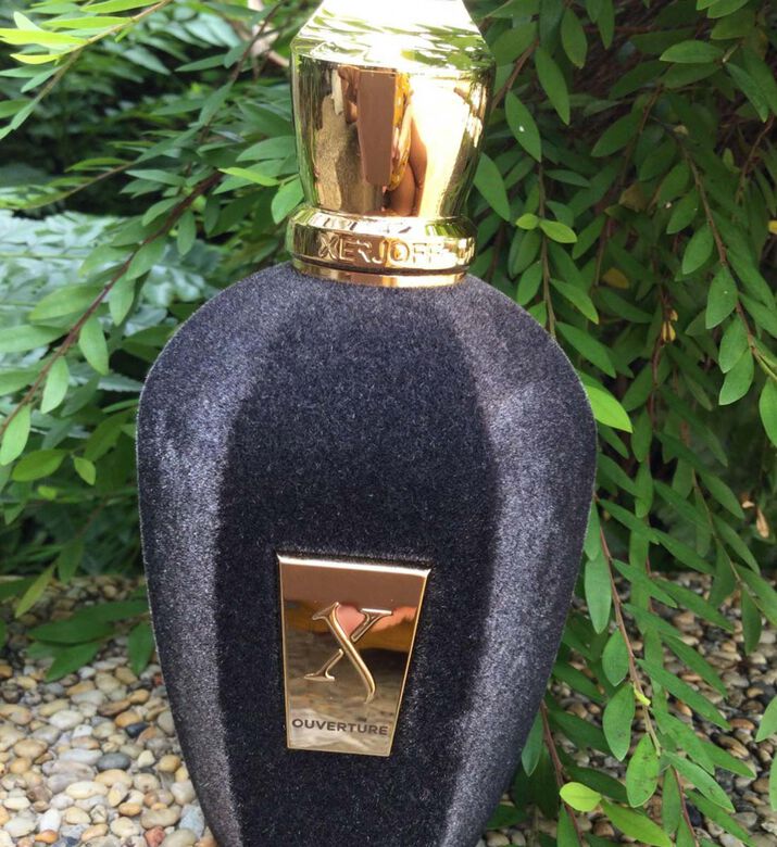 Accento Eau De Parfum