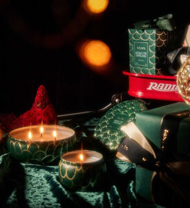 علبة جابونيكا نوبل فير غارلاند