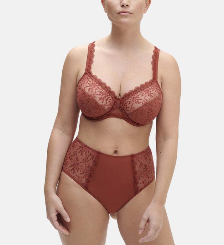 Singuliere High-waist Retro Brief
