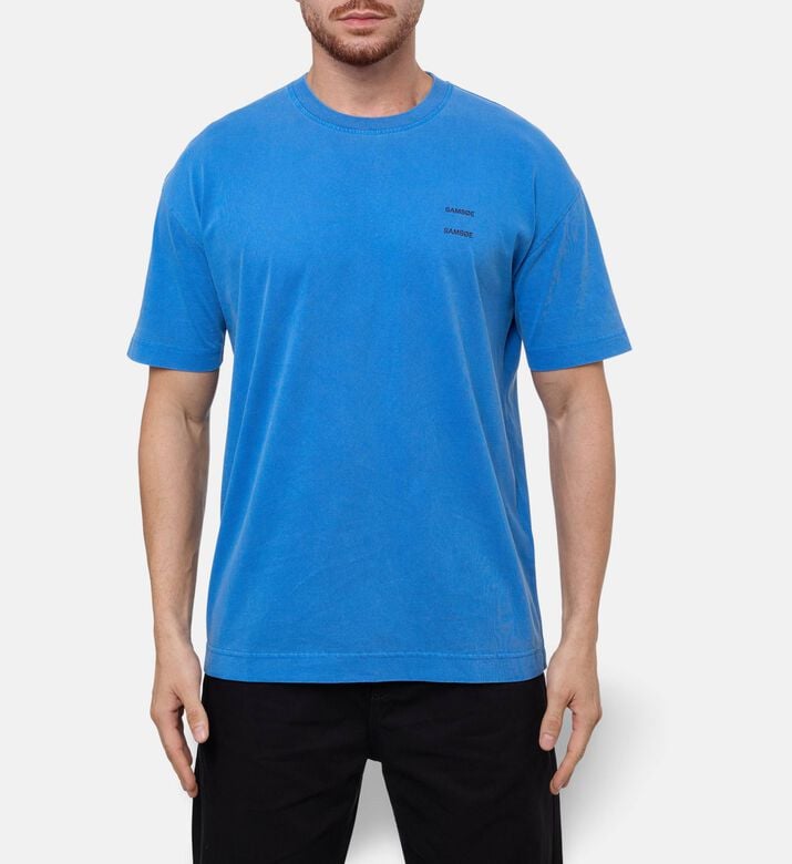 Samsoe Ts Sajoel, Model View