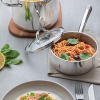 Stainless Steel Saucepan - 16 Cm