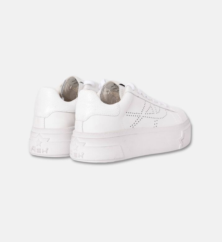 ASH Santana Leather Perforated-logo Sneakers, Packshot View