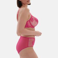 Intrigue Embroidered Retro Brief