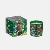 Jungletopia Butterfly Candle Jar