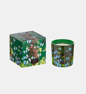 Jungletopia Butterfly Candle Jar