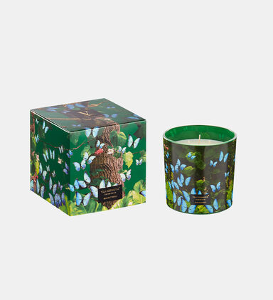 Jungletopia Butterfly Candle Jar