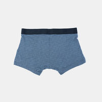 Elastic Waistband Boxer Brief