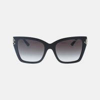 Oversized Frame Cat-eye Sunglasses