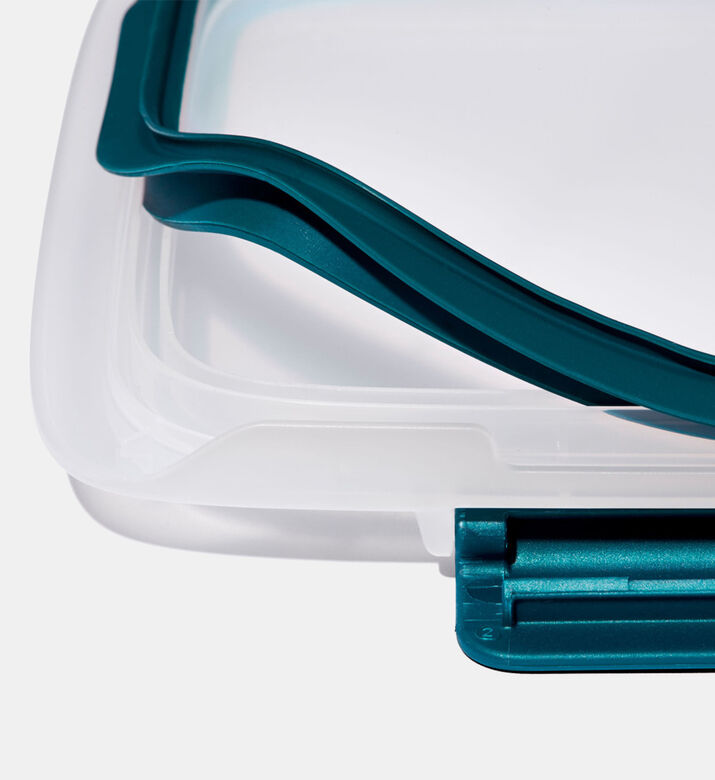 حاوية بلاستيكية مقسمة