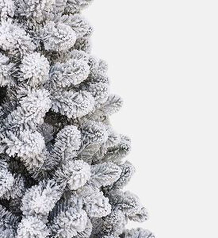 Home Deco and More Small Snowy Flocked Tree, White, 240-cm, Packshot View