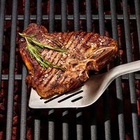 Stainless Steel Grilling Turner