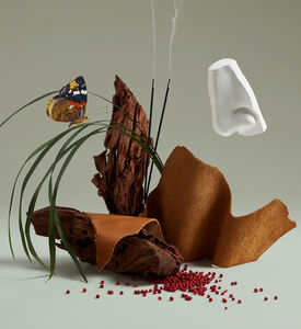 Terrible Teddy Eau De Parfum 75 Ml