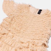 Wild Rose Ruffle Flared Dress
