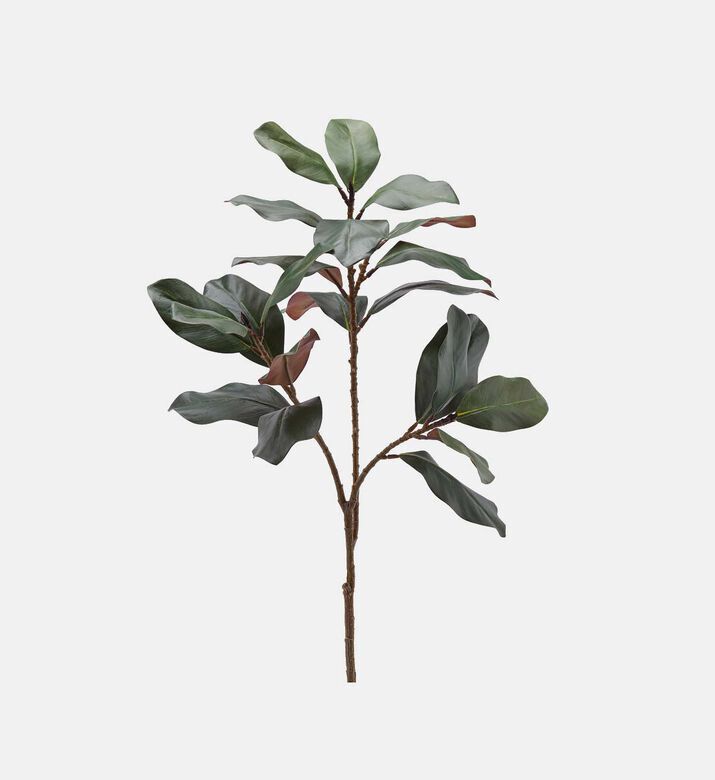 Edg Magnolia Artificial Branch, Packshot View