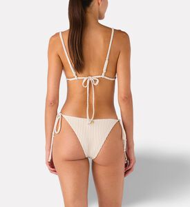 Palmacea Swst Lily Bottom, Model View