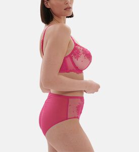 Intrigue Embroidered Retro Brief