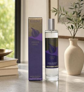 Esteban Paris Figue Noir Room Scented Spray, Model View