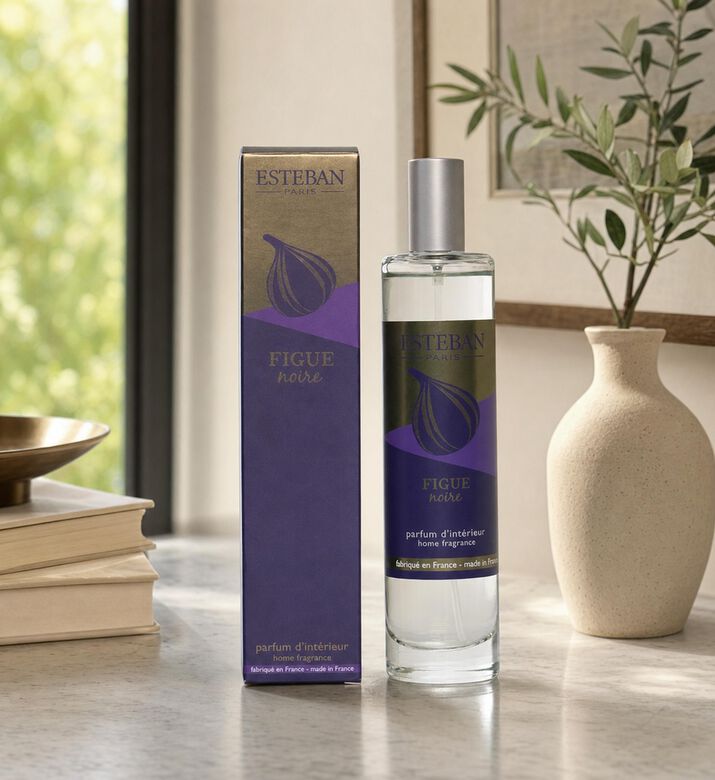Esteban Paris Figue Noir Room Scented Spray, Model View