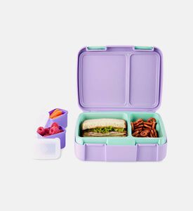 صندوق بنتو بطبعة صدفة بحر