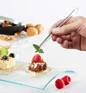 ملقط تقديم بريتشيزو دقيق - 14 سم