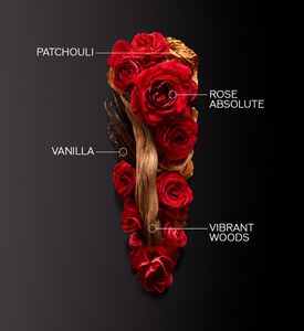 Shiseido Edp Ginza Intense, Packshot View