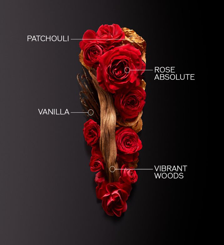 Shiseido Edp Ginza Intense, Packshot View