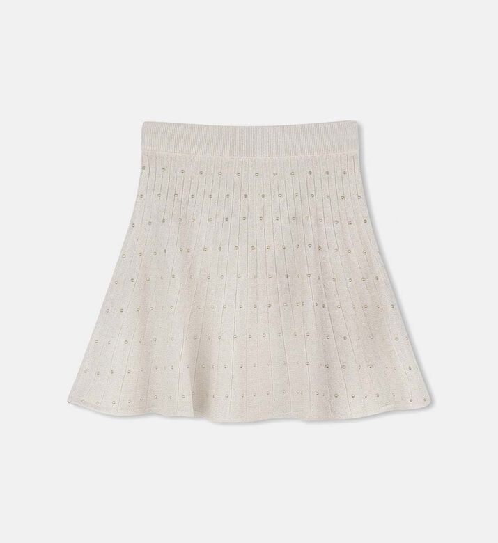 Pleated Embellished Skirt