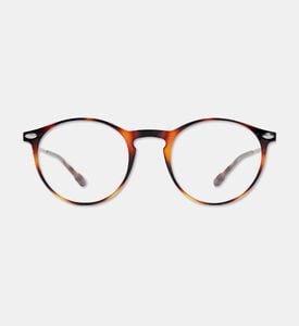 Nooz Eye Sunglasses, Packshot View