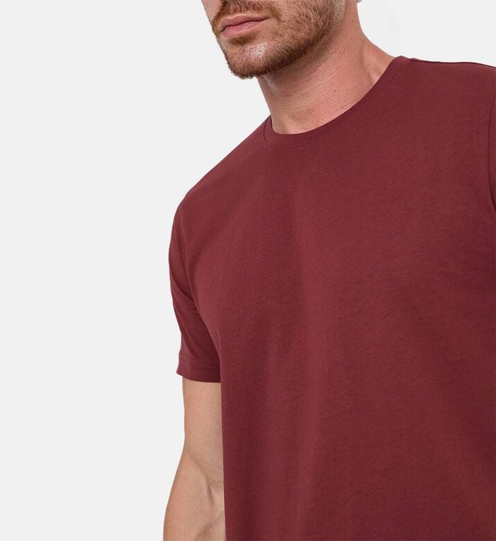 Pal Zileri Classic Crewneck T-shirt, Burgundy, 56, Model View Pal Zileri Classic Crewneck T-shirt, Burgundy, 56, Model View