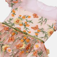 Floral Embroidered Tulle Party Dress
