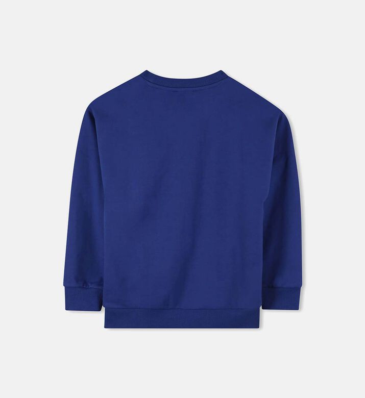 3d Logo-print Long-sleeve Sweatshirt