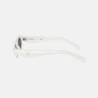 Acetate Oval Shape Sunglasses 55