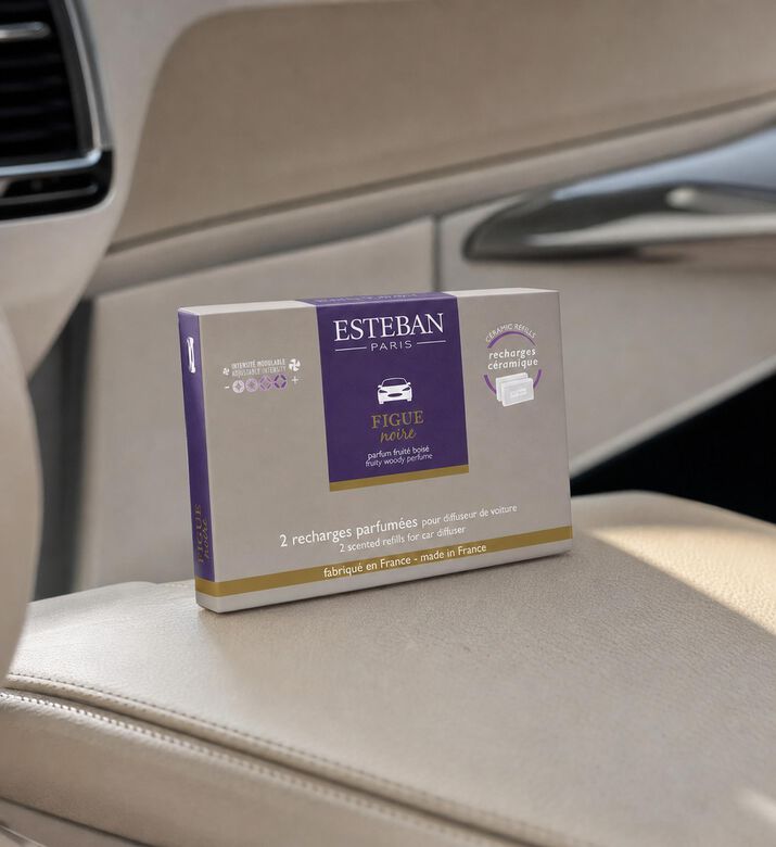 Esteban Paris Figue Noir 2-piece Car Diffusers Set, Model View